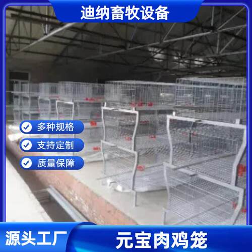 肉鸡元宝笼全自动清粪捡蛋加粗加厚镀锌丝畜牧养殖设备养鸡笼
