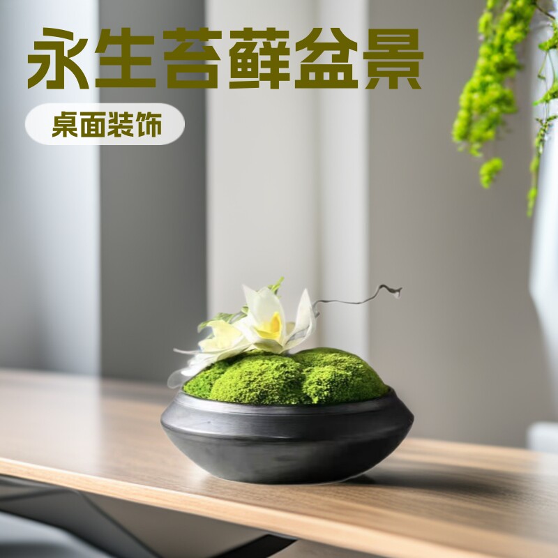 苔藓批发盆景摆件仿真花餐桌洽谈茶几酒店样板房桌面仿真苔藓