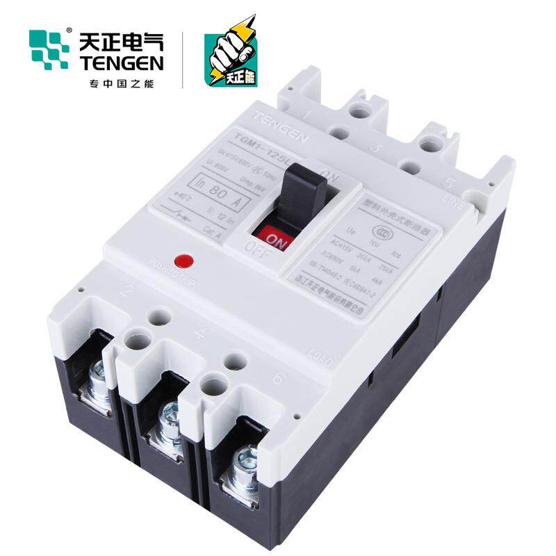 TENGEN天正 TGM1-125L/33002动力型塑壳断路器电动机保护开关100A