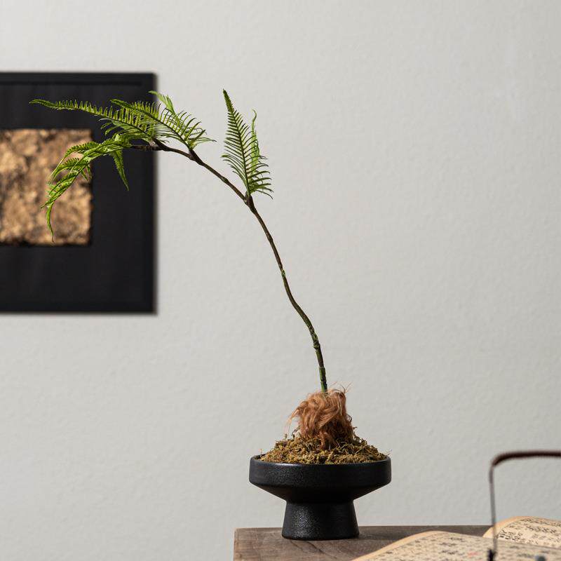 匠十三 新中式仿真文竹植物微景观造景花书房茶艺室案头装饰品