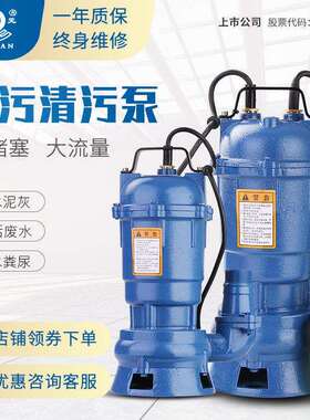 大元污水泵潜水泵家用排污泵泥浆泵380/220V单相化粪池无堵塞2寸