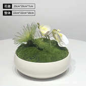 摆件绿样板房花艺苔藓新装 假山仿真软茶几植洽谈创意套装 盆景中式