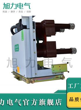 成套高压柜内置PT手车带高压熔断器2PT手车60 A RDQ-12/60