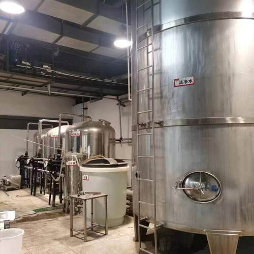 超纯水制水设备edi超纯水机纯净水纯化水生产设备单双级ro反渗透