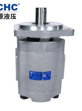 合肥长源液压泵齿轮油泵CBG2080-BFP 合肥长源液压股份有限公司