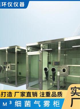 细菌气雾柜20m³空气净化器除菌去异味试验箱厂家直售