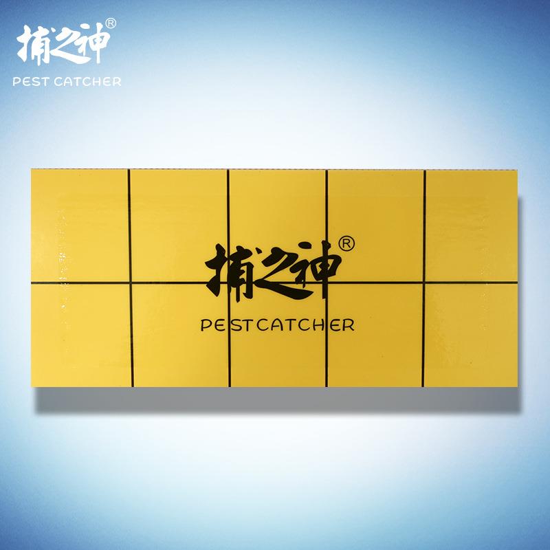捕之神粘捕式灭蚊蝇灯粘纸粘虫纸贴纸双层能用2次（1件10张）现货