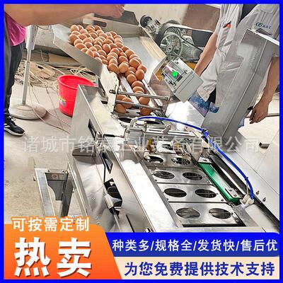 混蛋机供应机商 电铭泰工业器合磕蛋机 蛋黄蛋打清分离机 敲蛋厂