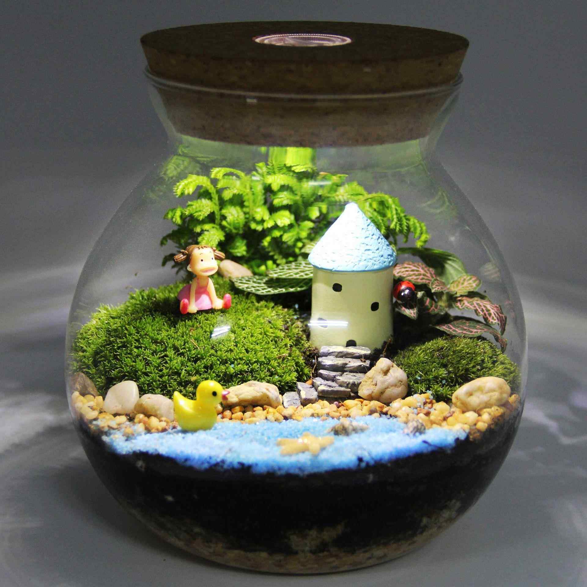 苔藓微景观 创意礼品摆件 绿植 生态瓶套装 有氧植物 迷你小世界