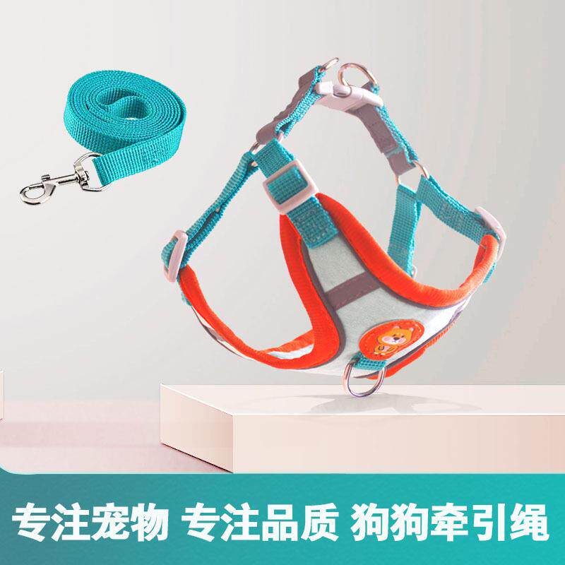 Factory Direct Sale: Pet Chest Harness and Leash for Small a - 实物图