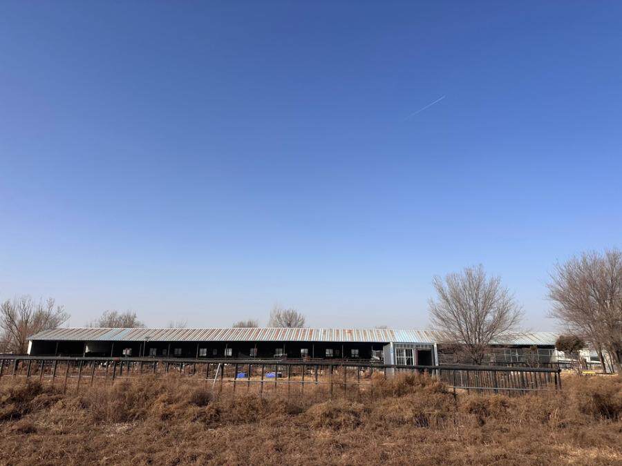 12月28日呼和浩特牧业公司部分房屋建筑物、构筑物及其他辅助设施资产网络拍卖公告