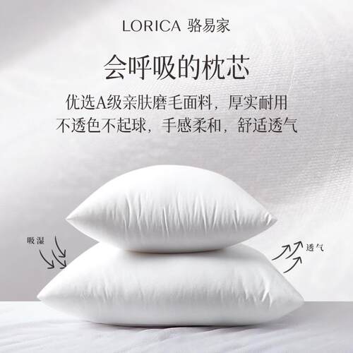 骆易家抱枕芯枕丝内胆羽绒沙发靠垫芯550WBG60正方形大靠背床头4