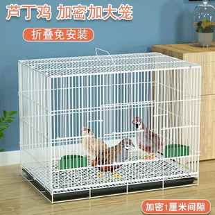 鸽子笼鹌鹑鹦鹉鸟笼室内大号家用养殖专用虎皮玄凤笼鸡笼自动清粪