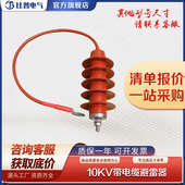 15KV 50Q全绝缘带引线电缆避雷器10KV 高压氧化锌避雷器HY5WS