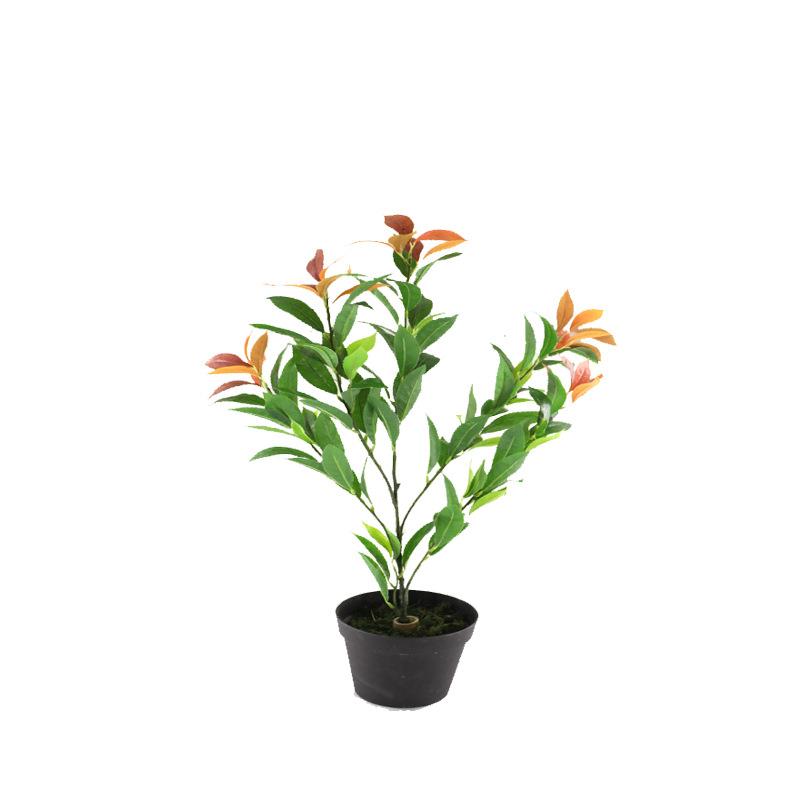 仿真植物假花果树叶桂花叶绢花月桂叶橄榄果叶树拍摄装饰工程图片