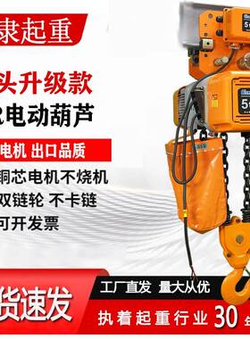 环链电动葫芦80V220V起重机运行式龙门吊行车电葫芦小吊机提升机