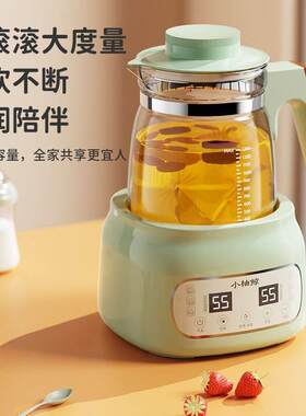 婴儿恒温调奶器玻璃家用烧水热水壶多功能智能温暖奶