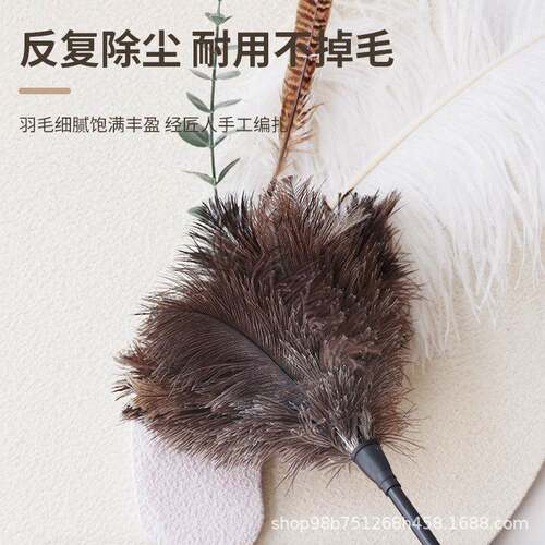 Antistatic Ostrich Feather Fur Wooden Hane Brush Duster D