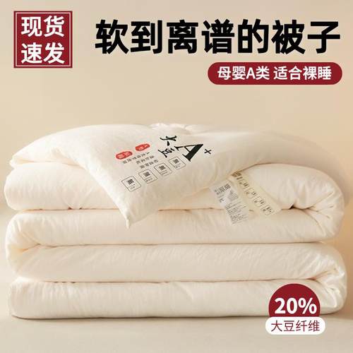 A类母婴级原棉大豆纤维被子四季拉链子母被芯春秋被冬被学生棉被