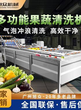 多功能果蔬清洗机新款酒店工厂商用不锈钢果蔬清洗风干流水线设备