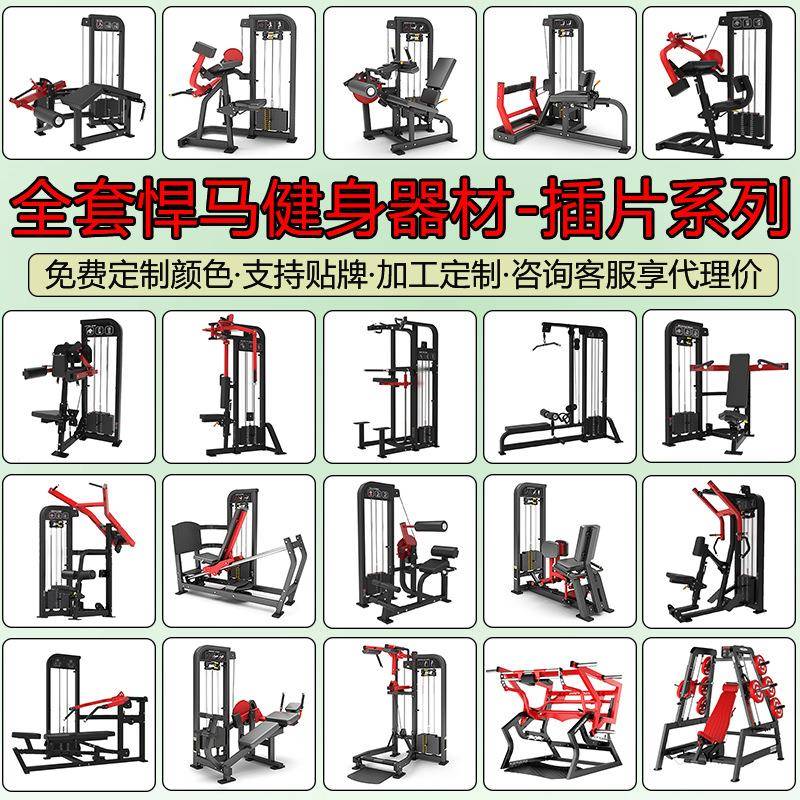 悍马健身器材全套飞鸟推胸拉背综合训练器插片力量器械健身房商用
