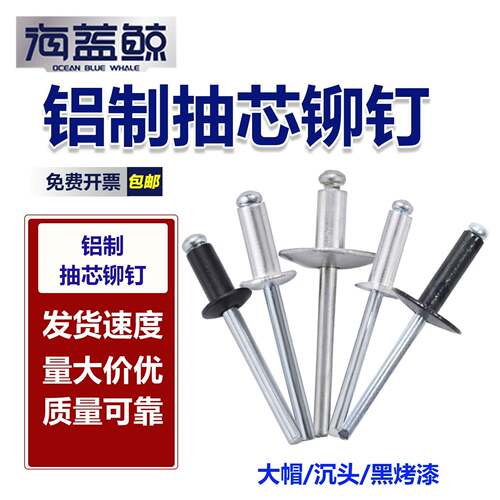 铝制抽芯铆钉圆头大帽沉头 黑色烤漆圆头大帽拉毛钉开口拉丁铆钉
