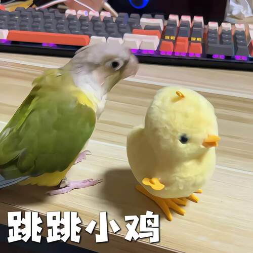 会走路的跳跳小鸡！彷真毛绒小鸡仔发条玩具哄娃神器桌面解闷宠物