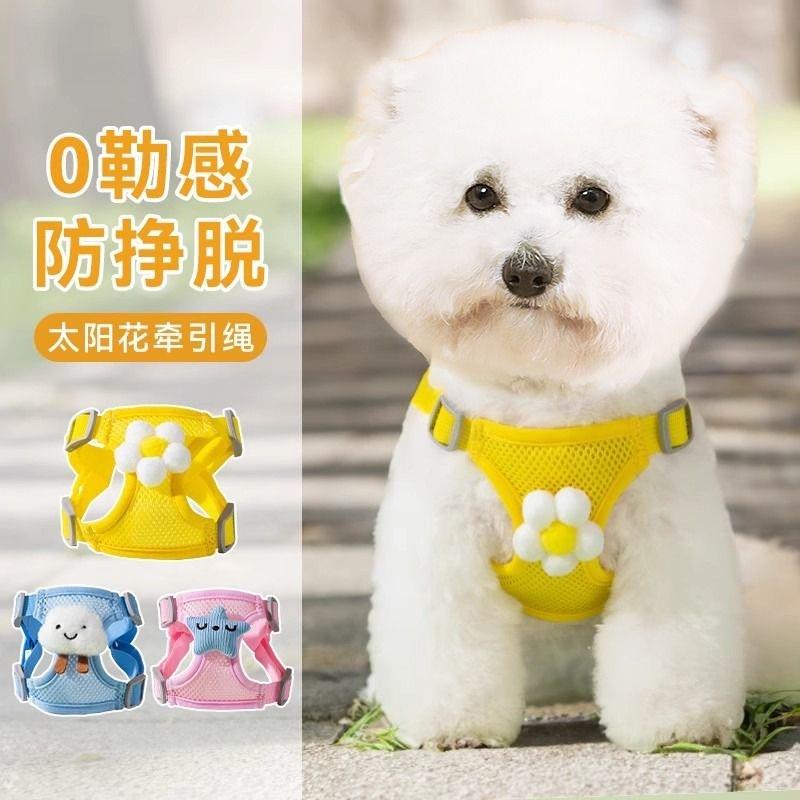 牵引绳狗背心式不勒脖猫咪防挣脱外出专用溜