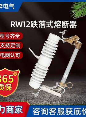 跌落式熔断器RW12-15/100A200A户外10KV灭弧熔丝陶瓷令克保险开关