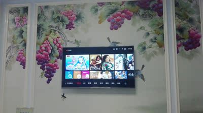 别忽悠我TCL55v2好还是海信55E52D好?功能上差异在哪里?