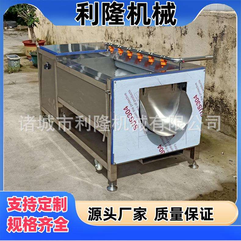 全自动毛辊清洗机器土豆芋头大姜去皮加工生产线荠菜疙瘩毛辊清洗