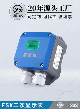 FSX二次显示仪表抗干扰防雷击防结露IP66高防护变送器设备