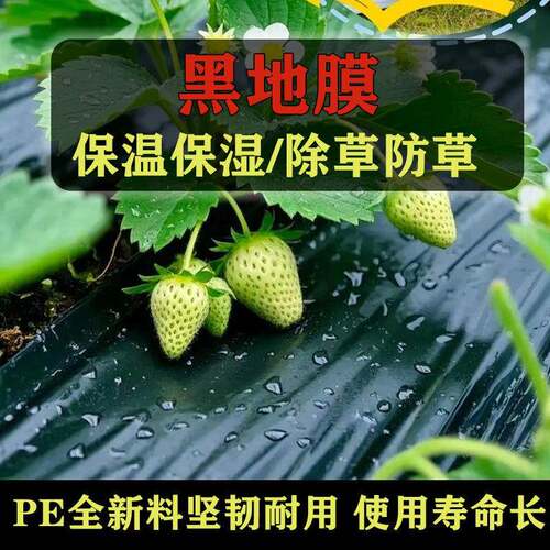黑地膜 黑色地膜 农地用薄膜温黑地膜除草保JFG膜用农黑地膜农用