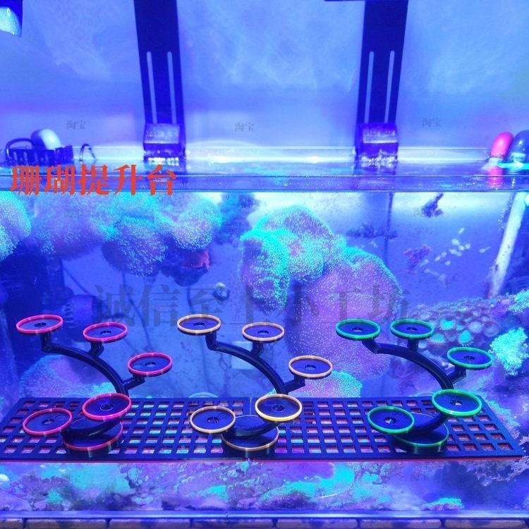 荧光珊瑚基座海缸珊瑚支架提升造景繁殖支架飞盘软体硬骨加高摆件