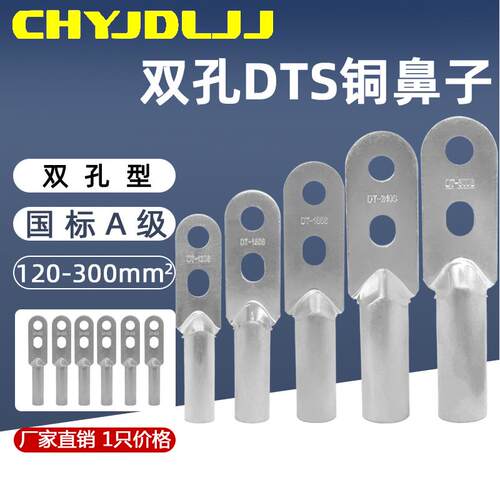 双孔铜鼻子DTS-120/150/185/240/300平方国标A级镀锡紫铜接线端子