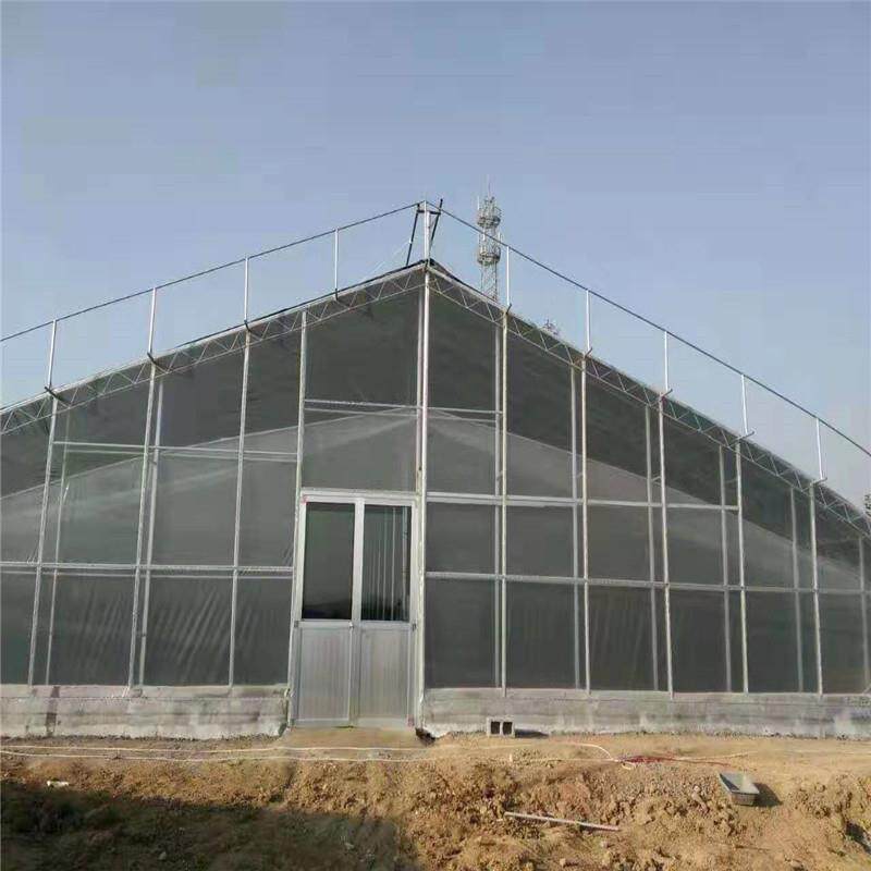 育苗大棚采摘大棚草莓大棚玻璃温室薄膜大棚等设计加工安装