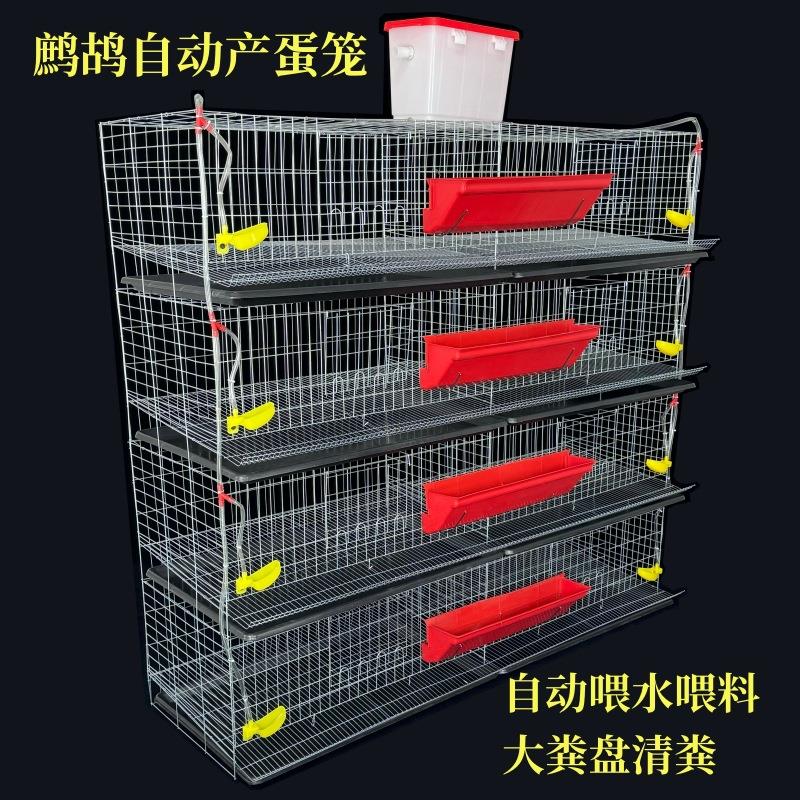 鹧鸪笼可自动清粪多层自动养殖笼石鸡大鹌鹑产蛋4层8笼位养殖笼