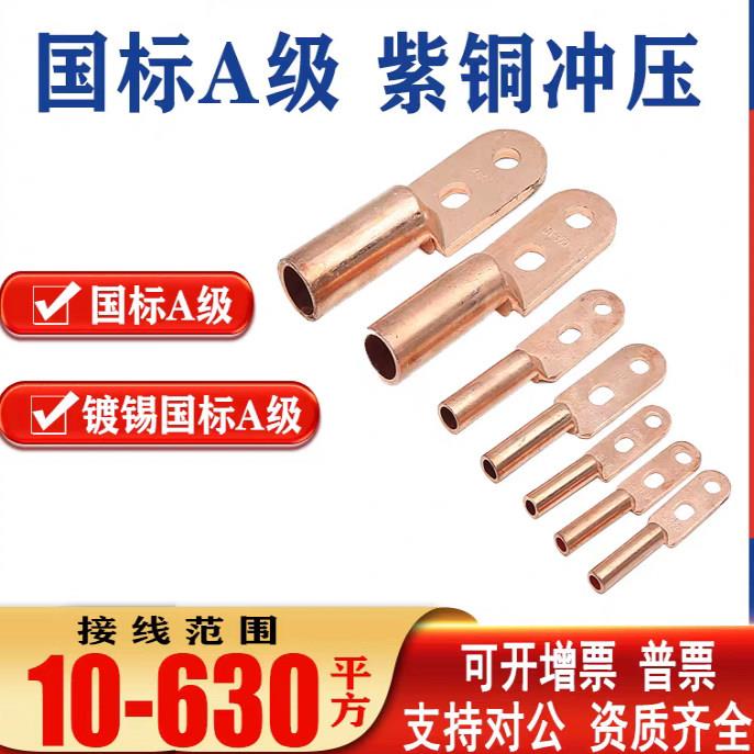双孔铜接线端子DTS-25/35/50/70/95/120铜线鼻子接线端子双眼线耳
