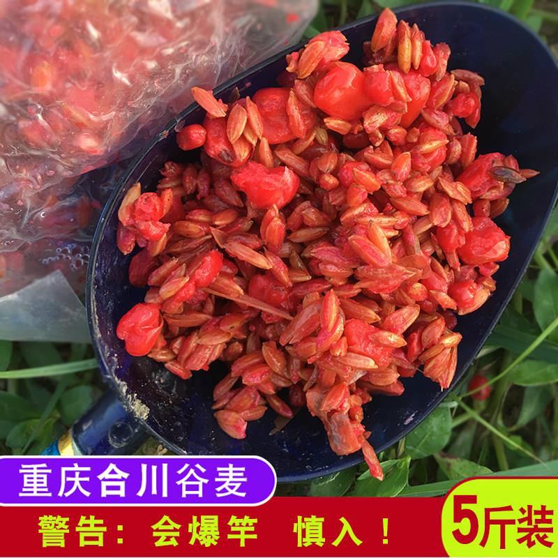 重庆合川逗钓谷麦鱼饵饵料鲤鱼野钓专用草鱼蜂蜜打鱼饵五谷杂粮小