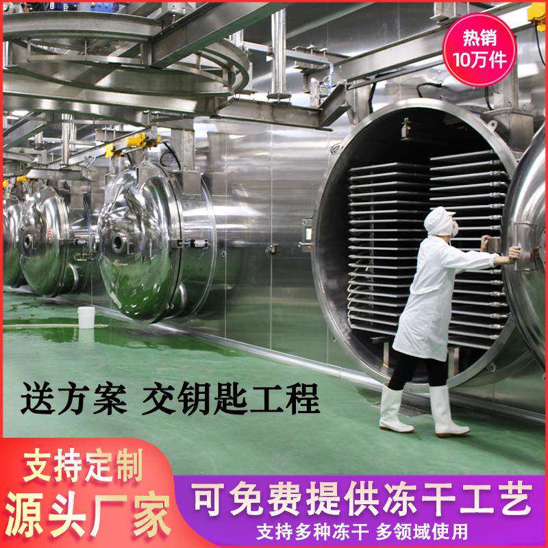 果蔬食品肉制品智能控制真空脱水冻干机榴莲脱水干燥机源头工厂