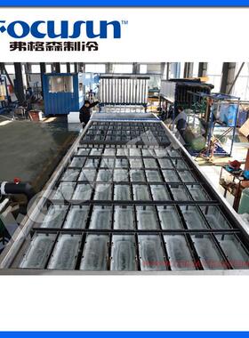 弗格森间接式块冰机FIB-150WHB,产冰量15吨每块重量可指定