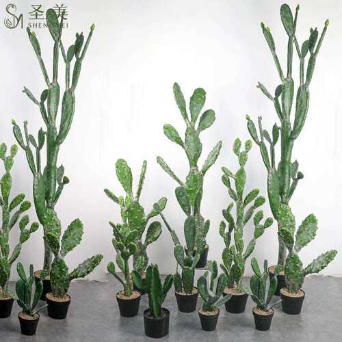 仿真仙人掌大型热带假植物北欧仙人柱假绿植室内场景橱窗装饰摆件