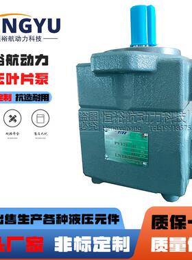 辽宁太克TCH叶片泵PVF2-26-F-R33414753PVF1液压泵机械油泵
