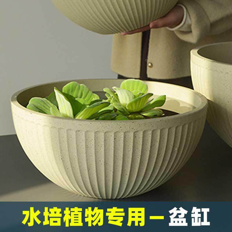 睡莲盆缸碗莲专用盆养荷花铜钱草的水培器皿无孔花盆莲花水缸塑料