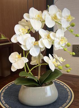 彷真花蝴蝶兰套装手感假花盆栽客厅餐桌摆放绢花中式陶瓷花卉摆件