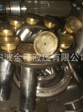 修理A11VLO260LRDU2力士乐液压泵专业快速混泥土专用主油泵