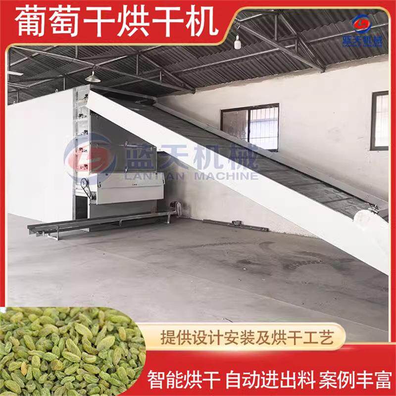 葡萄烘干机 新疆无籽绿香妃青提子阳光玫瑰风干机 葡萄干烘干设备