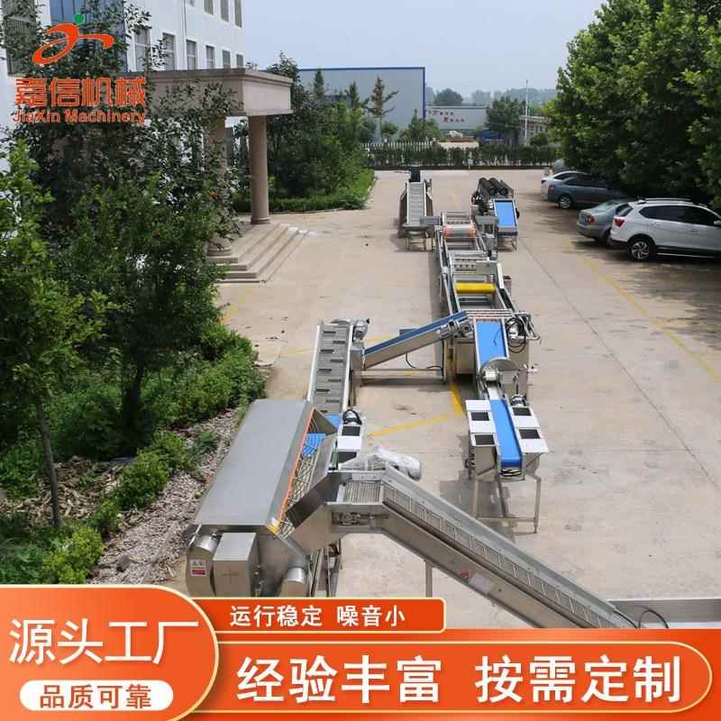青梅气泡清洗机不锈钢海带清洗设备高压式洗果机蒜黄香菜清洗机
