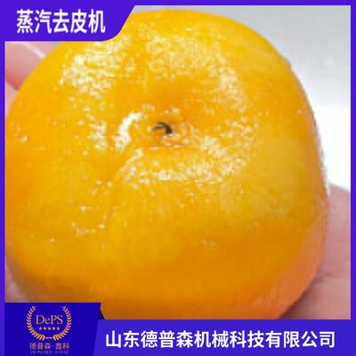 全自动柿子桃子无花果去皮机纯物理蒸汽脱皮机
