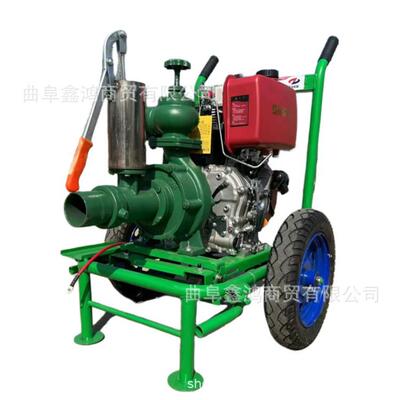 192F 195柴油寸双叶轮高扬3程高压F泵WYU 高喷山送水灌水泵